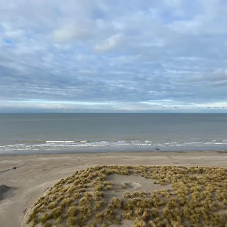 公寓 In With Garden