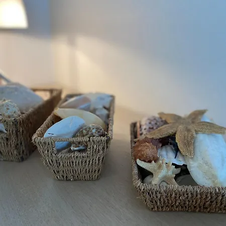 公寓 In With Garden