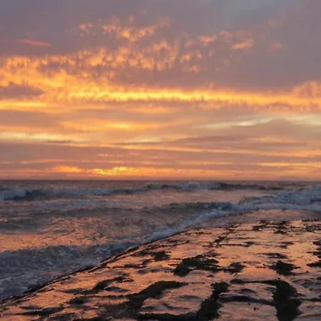 In With Garden * 尼乌波特