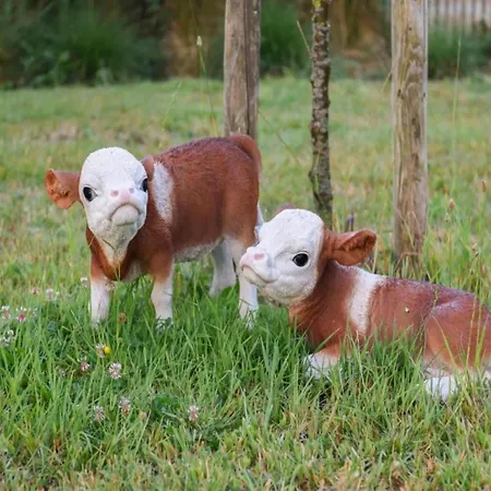 In With Garden 公寓 *