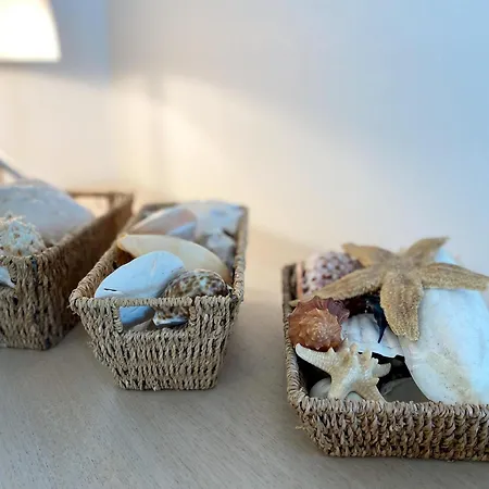 公寓 In With Garden 尼乌波特